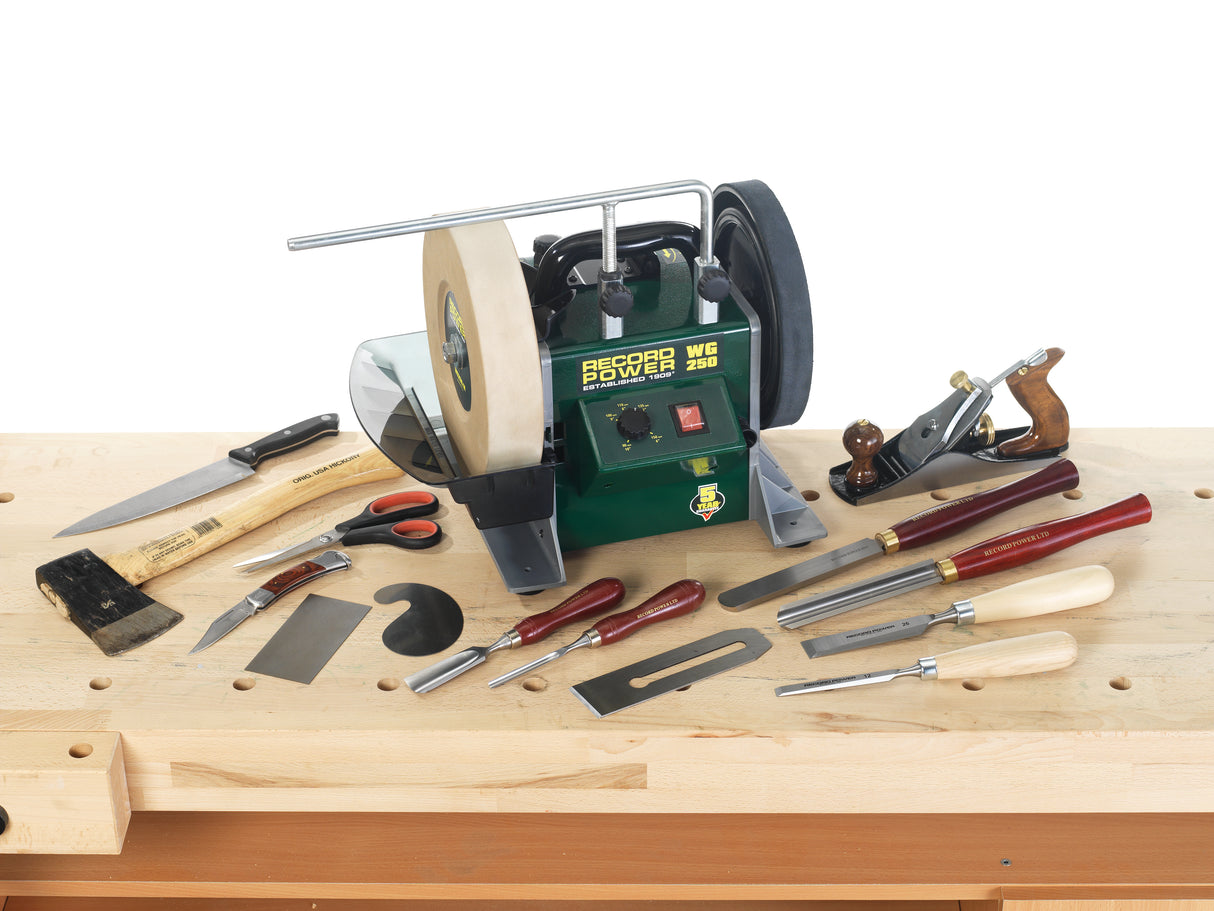 Record Power Affilatrice a secco-umido WG250 con kit accessori